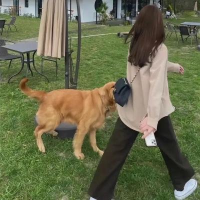 耀舞长安粤语
