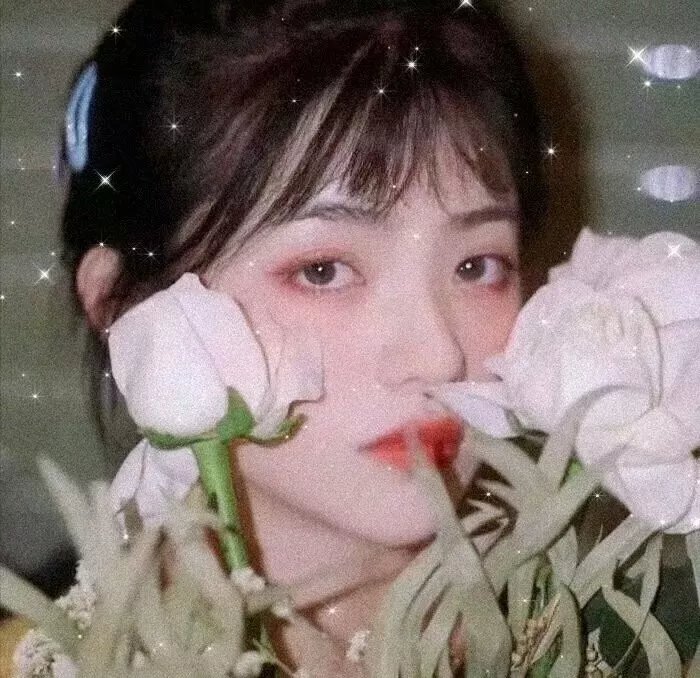 校影迷雾